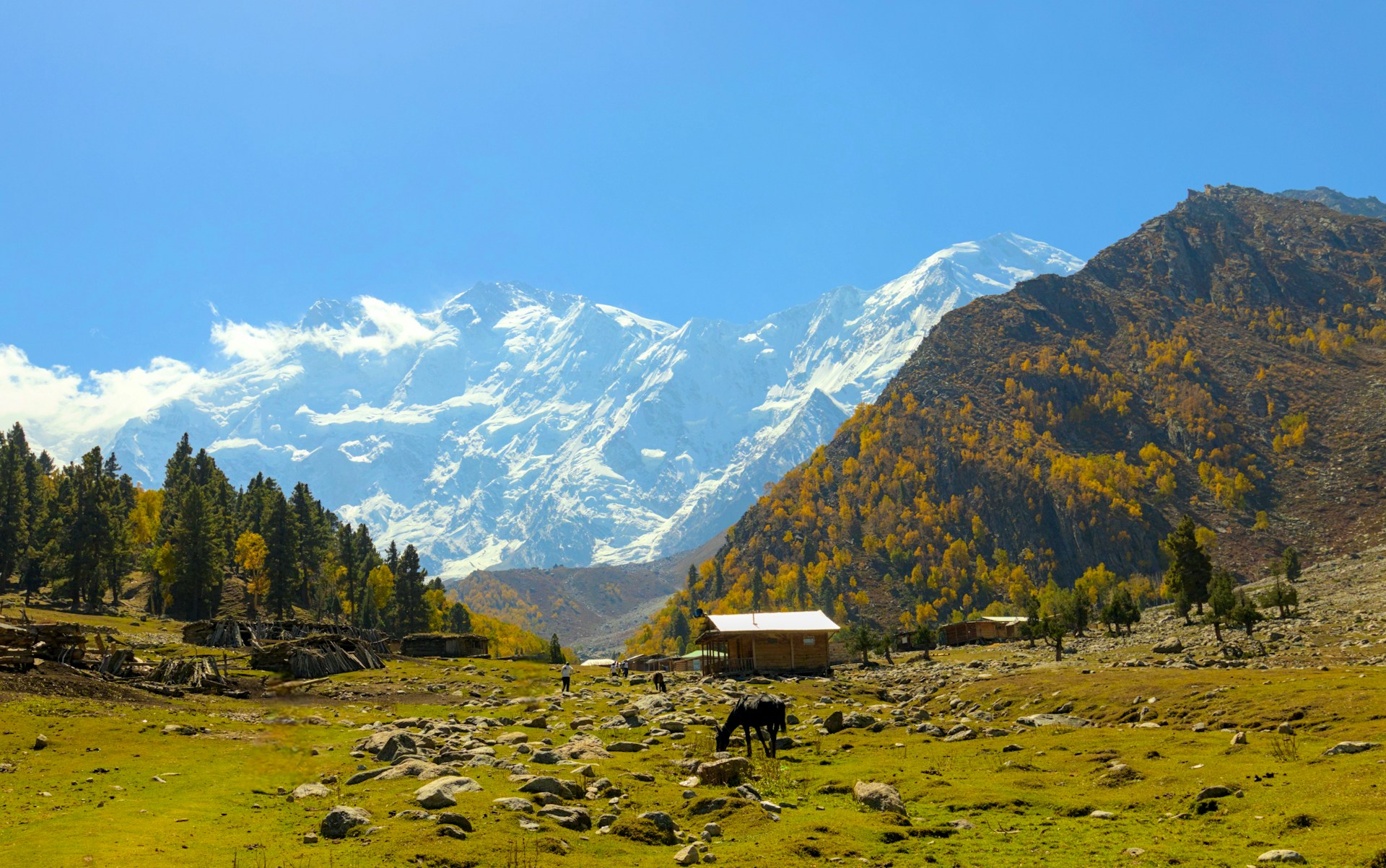 FAIRY MEADOWS & NANGA PARBAT BASE CAMP ADVENTURE